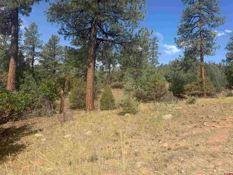x Calderwood Place, Pagosa Springs, CO 81147 - #3