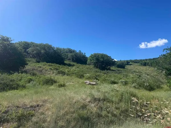 813 Cornestone Loop, Montrose, CO 81403