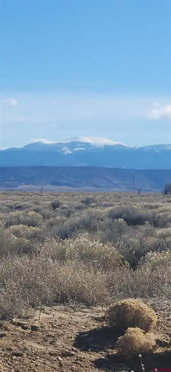 42000081 Parcel, Blanca, CO 81123 - #2