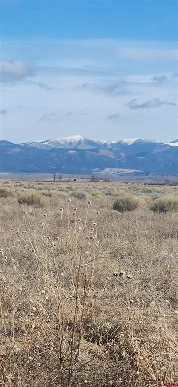 42000081 Parcel, Blanca, CO 81123 - #3