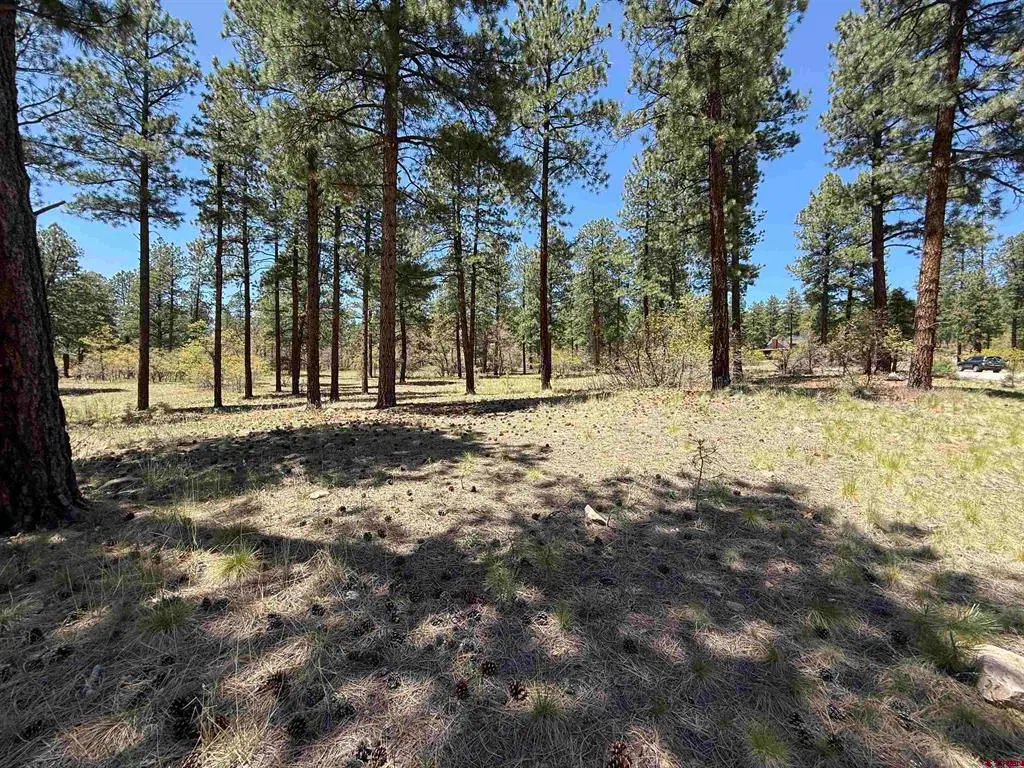 TBD Ventana Pass, Durango, CO 81301 - #1