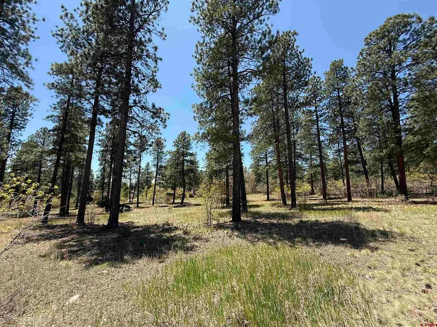 TBD Ventana Pass, Durango, CO 81301 - #2