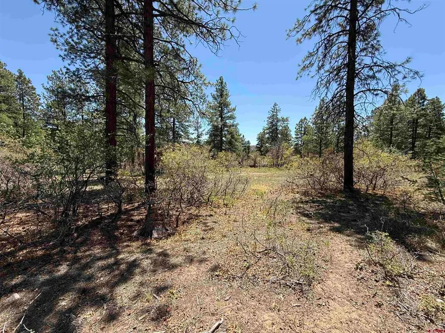 TBD Ventana Pass, Durango, CO 81301 - #3