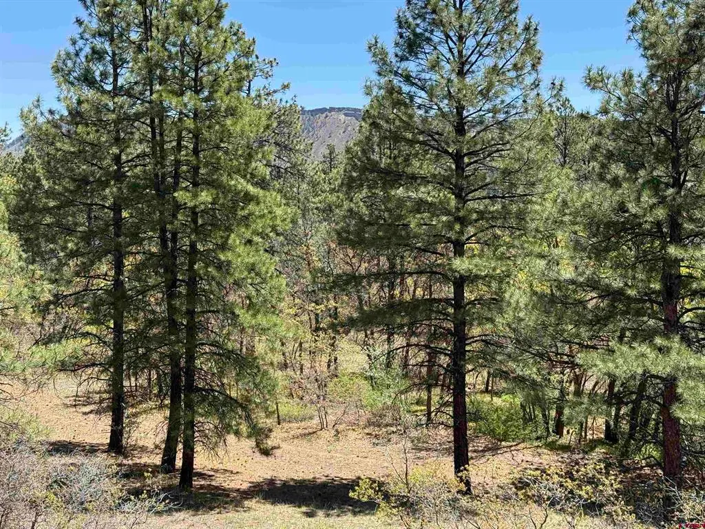 TBD Ventana Pass, Durango, CO 81301 - #1