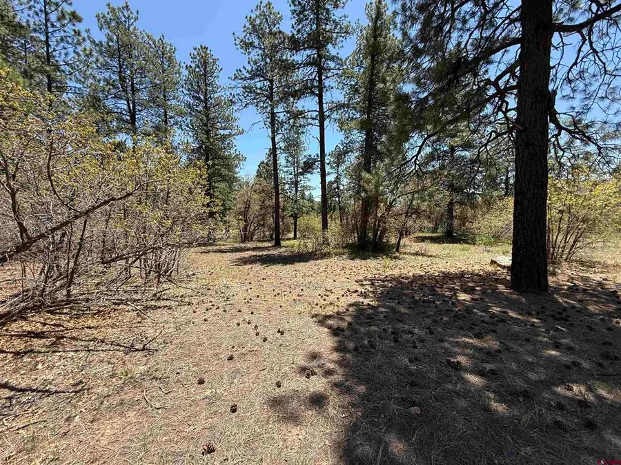 TBD Ventana Pass, Durango, CO 81301 - #2