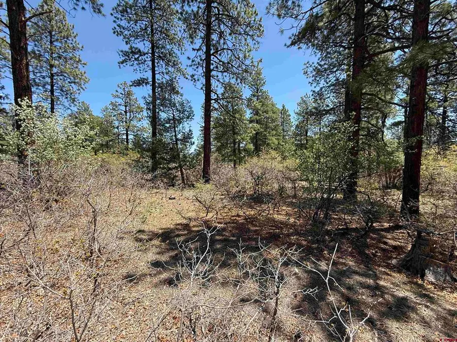 TBD Ventana Pass, Durango, CO 81301 - #3