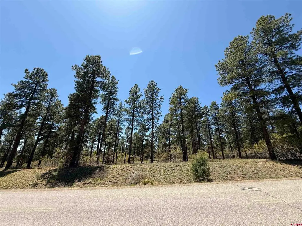 TBD Edgemont Highlands Drive, Durango, CO 81301 - #1