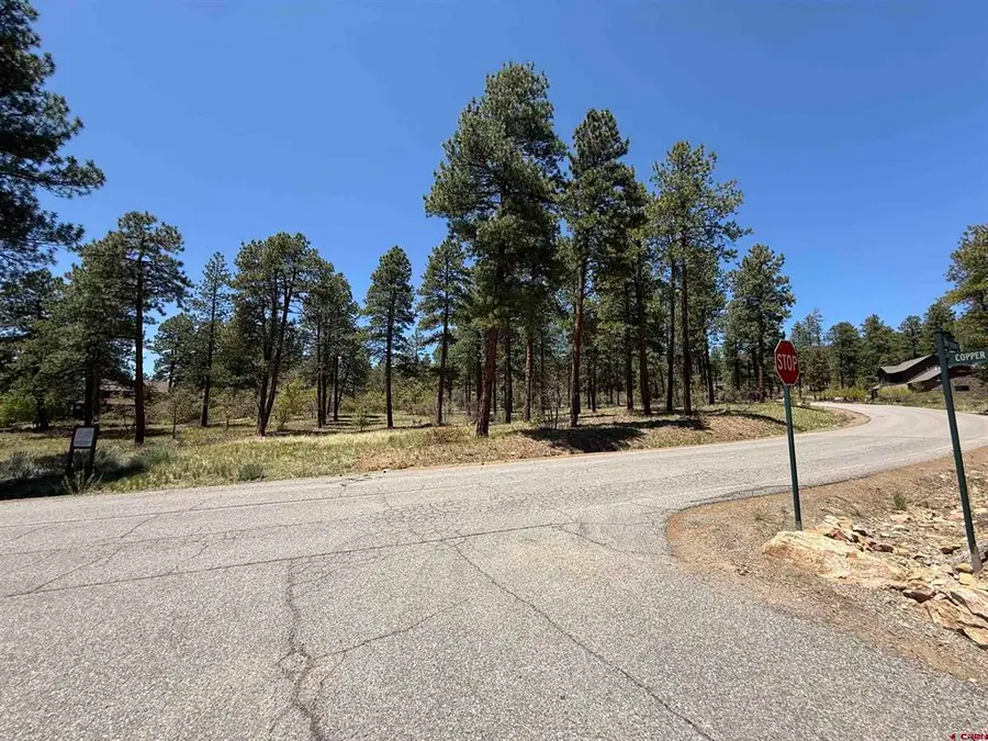 TBD Edgemont Highlands Drive, Durango, CO 81301 - #2