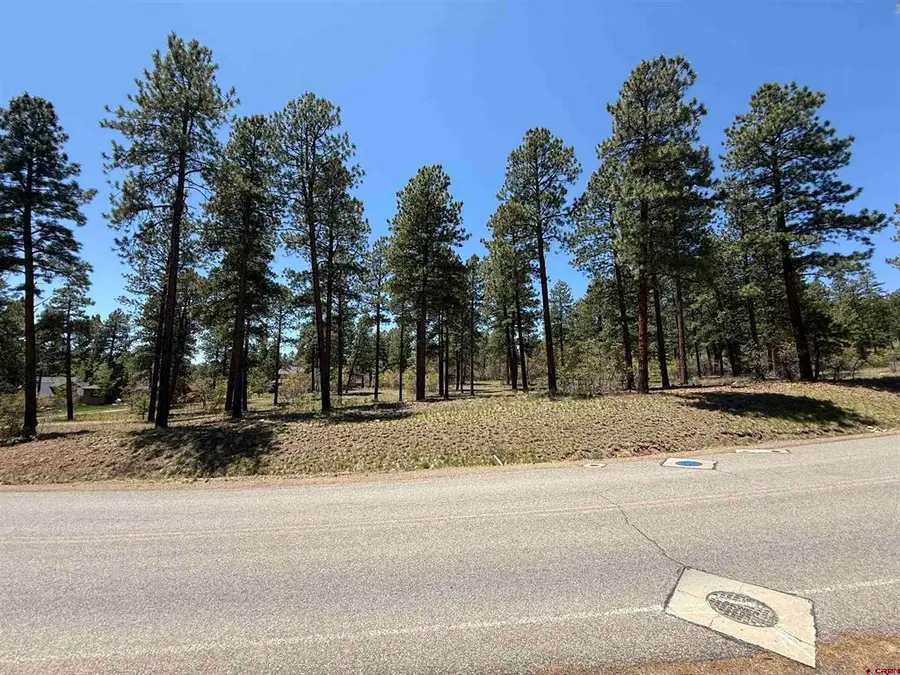 TBD Edgemont Highlands Drive, Durango, CO 81301 - #3