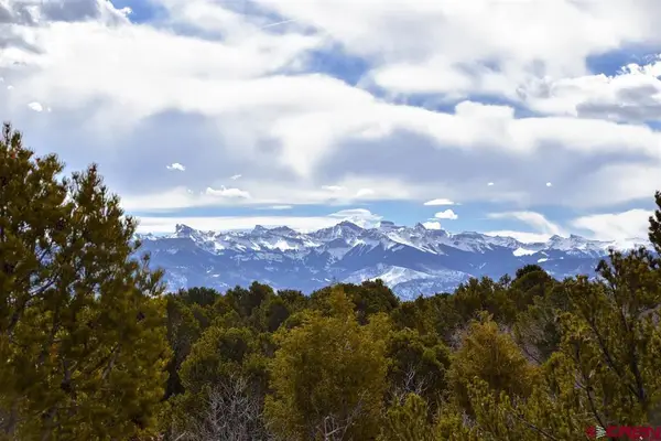 (Tract 5) 9266 Government Springs Road, Montrose, CO 81403