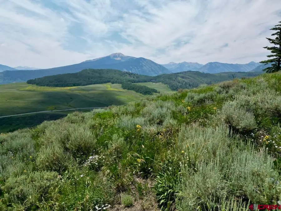 19 Buttercup Lane, Mount Crested Butte, CO 81225 - #2