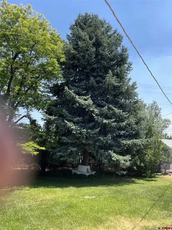 107 Akard Avenue, Montrose, CO 81401 - #3