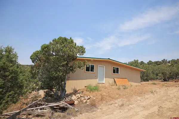 1775 35 1/10 Road, De Beque, CO 81630