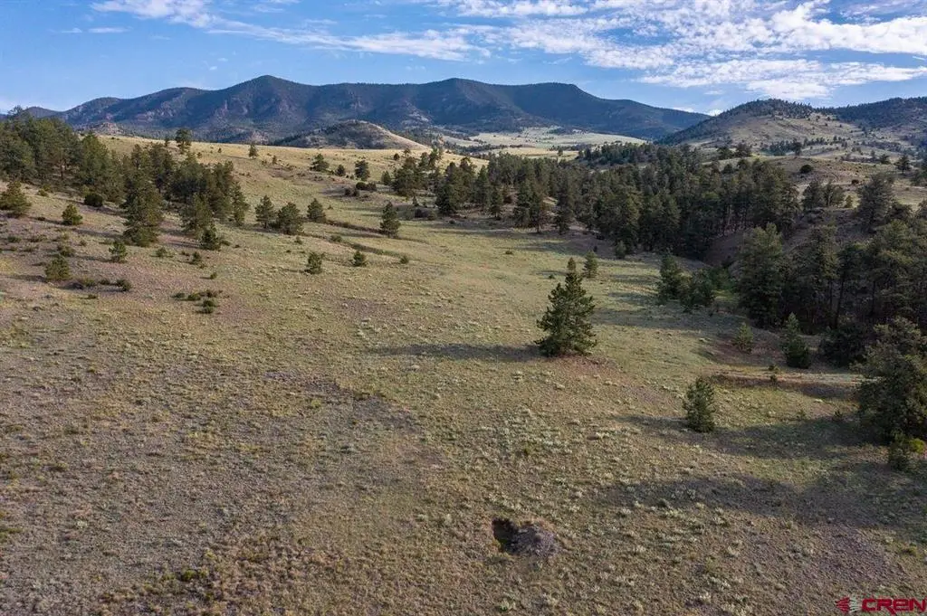 0 Big Buck Road, Guffey, CO 80820 - #1