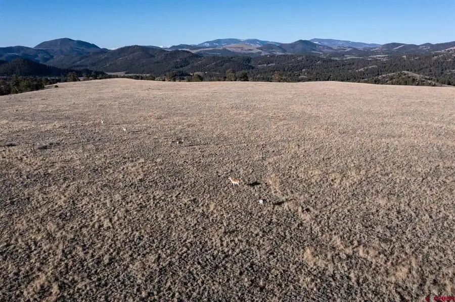 0 Big Buck Road, Guffey, CO 80820 - #3