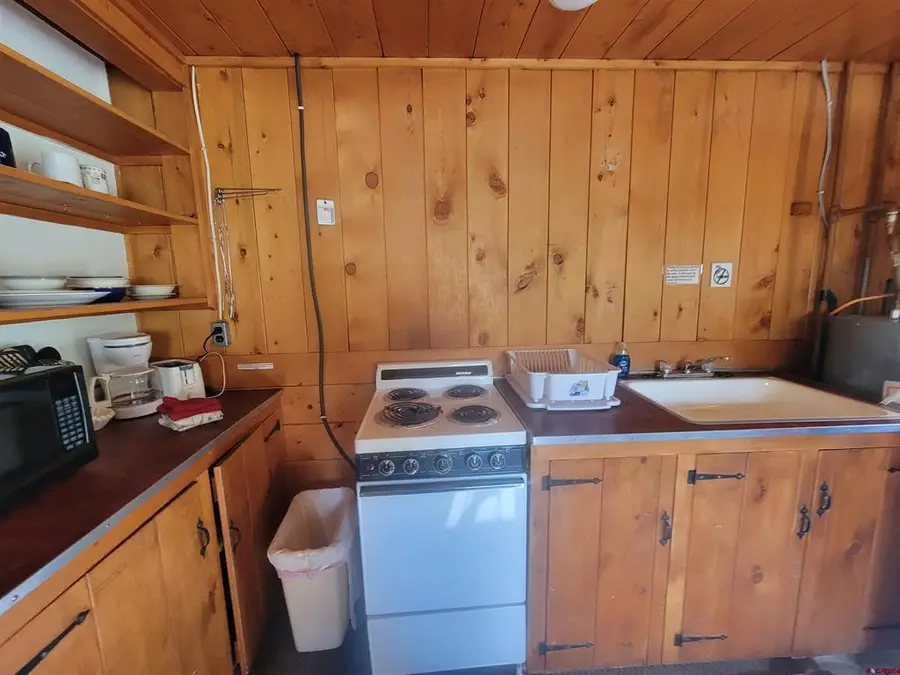 140 Sherry Lane, Platoro, CO 81120 - #3