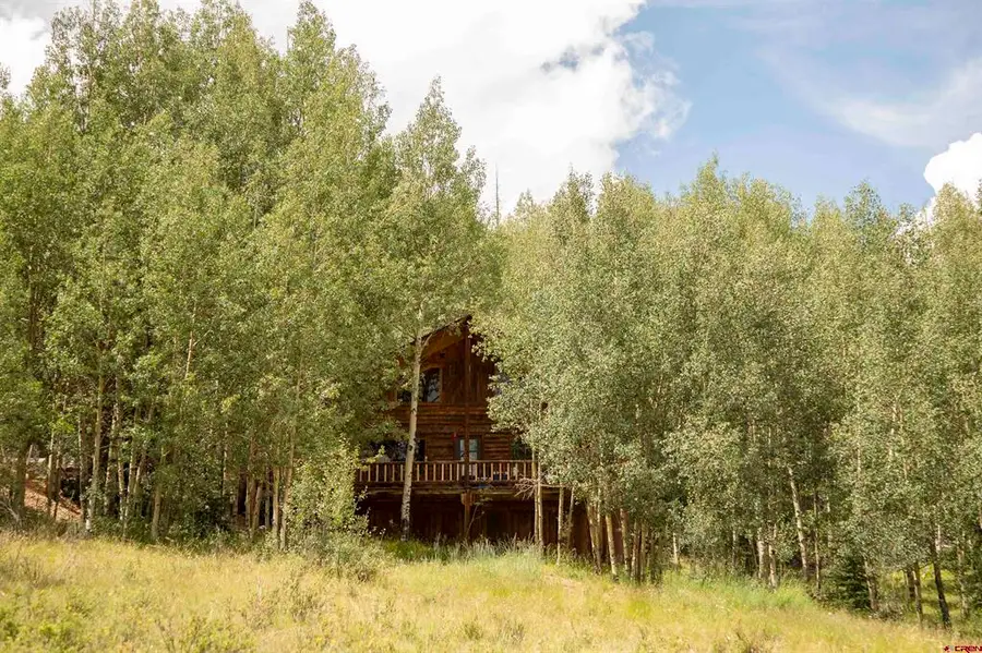 1001 Cr 17 #The Loft, Creede, CO 81130 - #2