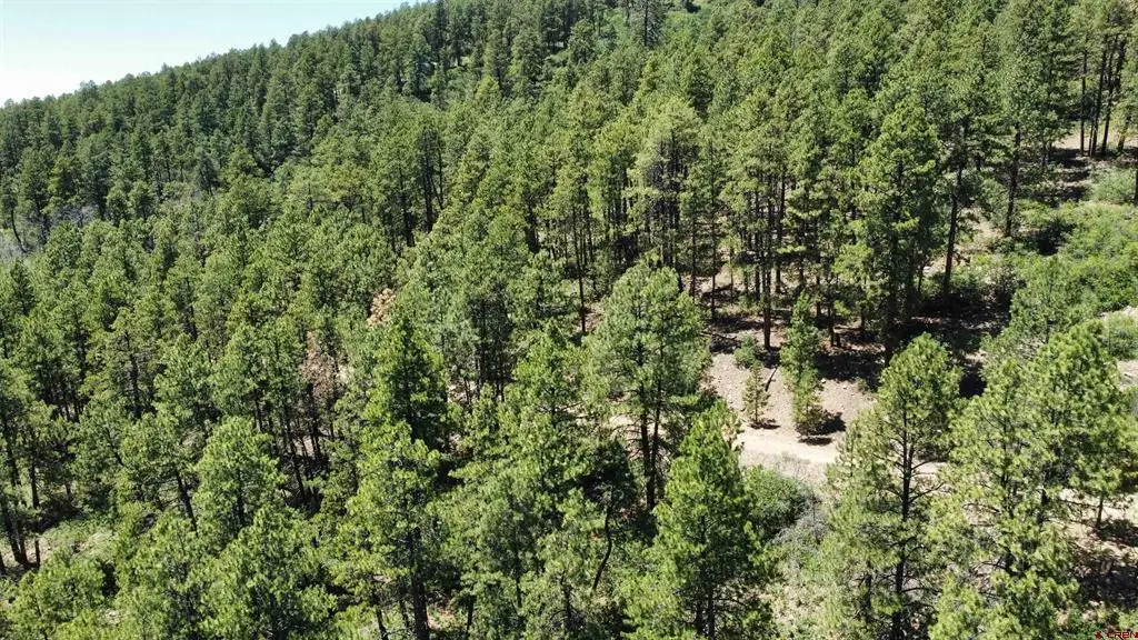 190 Jackalope Drive, Bayfield, CO 81122 - #1