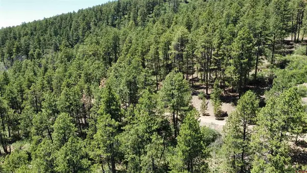 190 Jackalope Drive, Bayfield, CO 81122