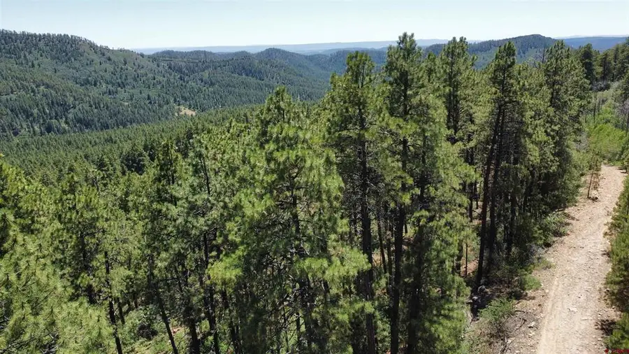 190 Jackalope Drive, Bayfield, CO 81122 - #2