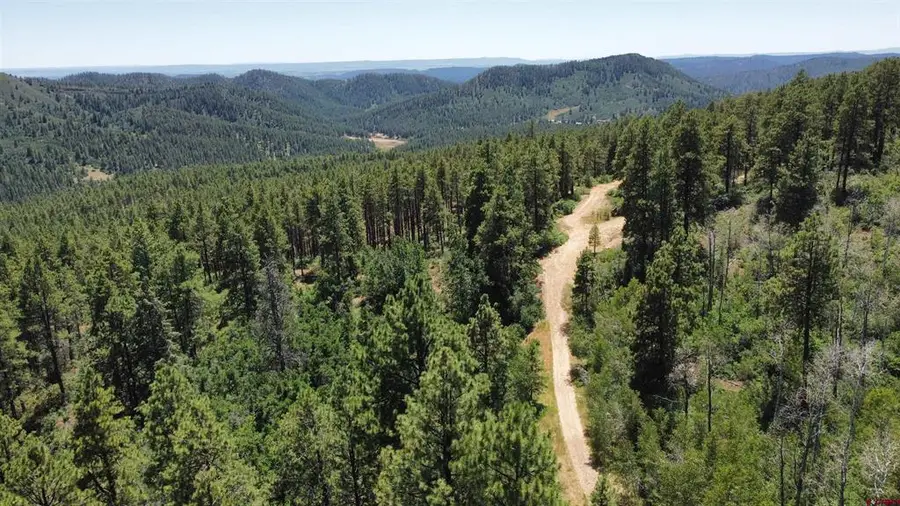 190 Jackalope Drive, Bayfield, CO 81122 - #3