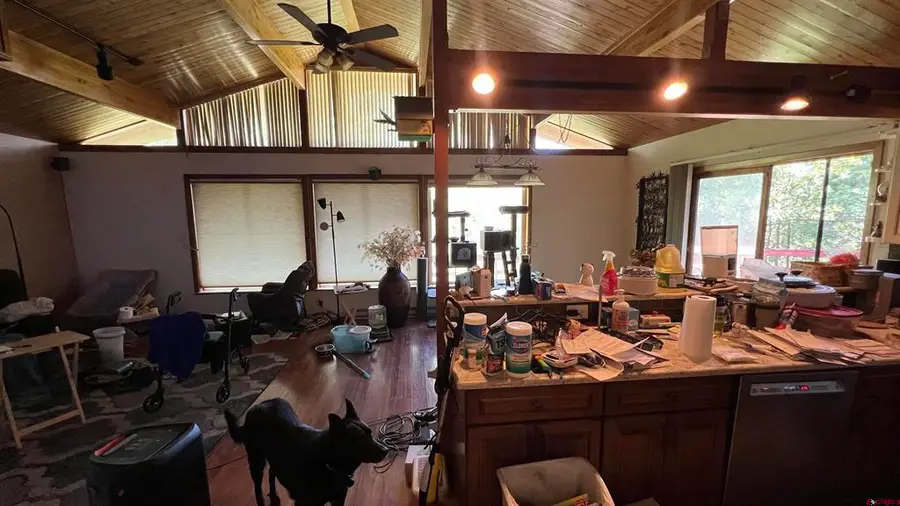 6777 Cr 203, Durango, CO 81301 - #3