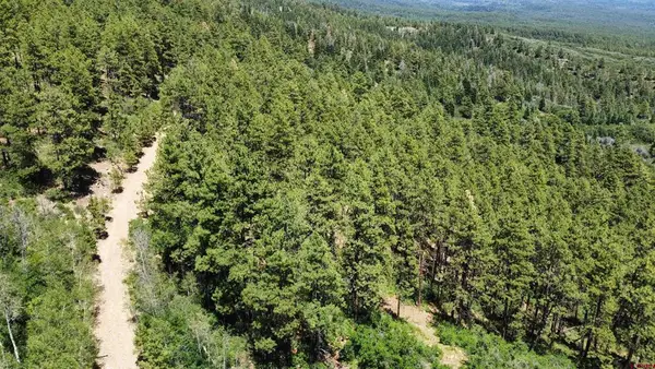 166 Jackalope Drive, Bayfield, CO 81122