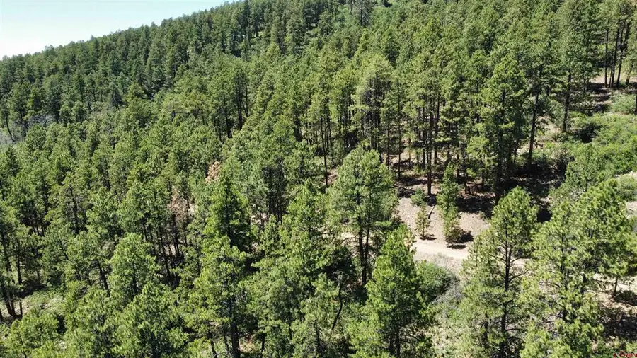 166 Jackalope Drive, Bayfield, CO 81122 - #2