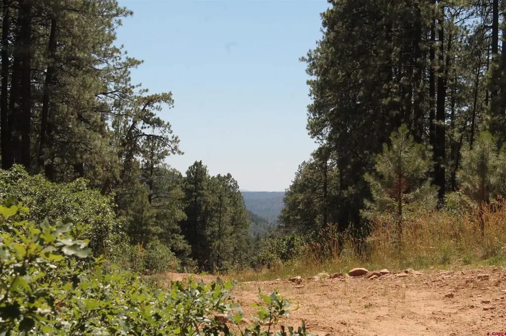 140 Jackalope Drive, Bayfield, CO 81122 - #1
