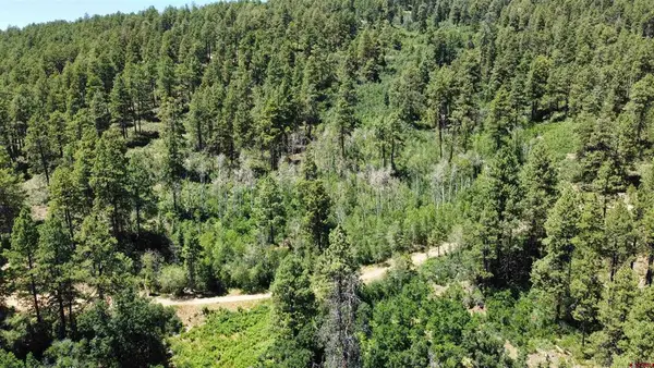 140 Jackalope Drive, Bayfield, CO 81122