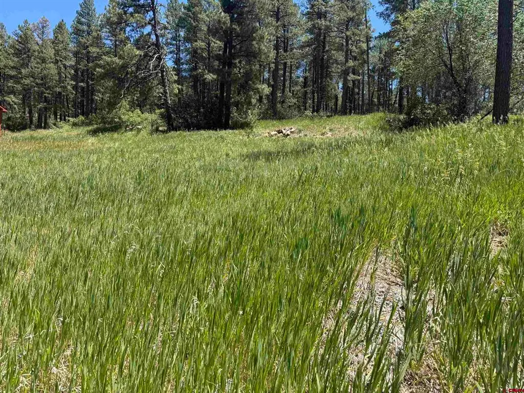 473 Alpine Forest Drive, Bayfield, CO 81122 - #1