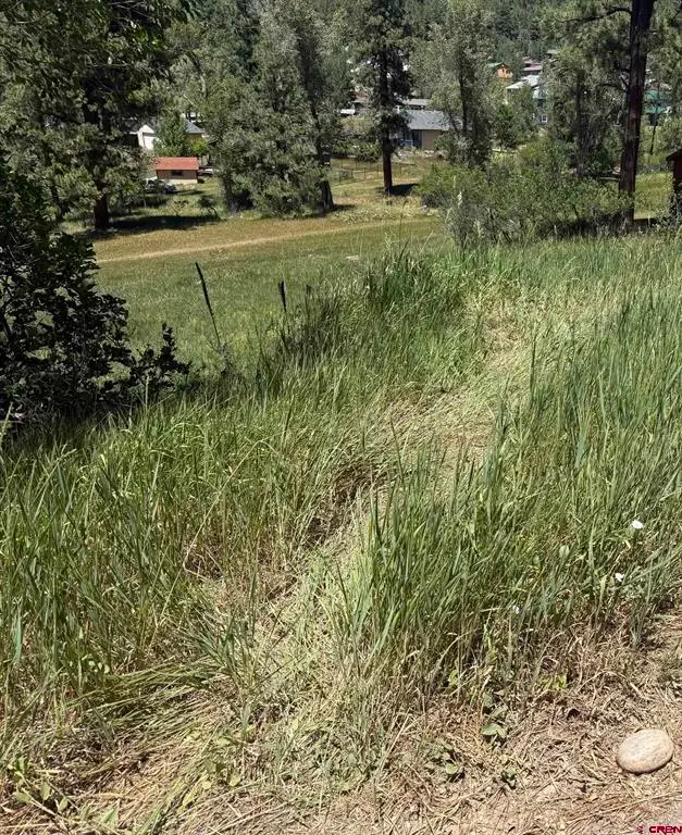 473 Alpine Forest Drive, Bayfield, CO 81122 - #3