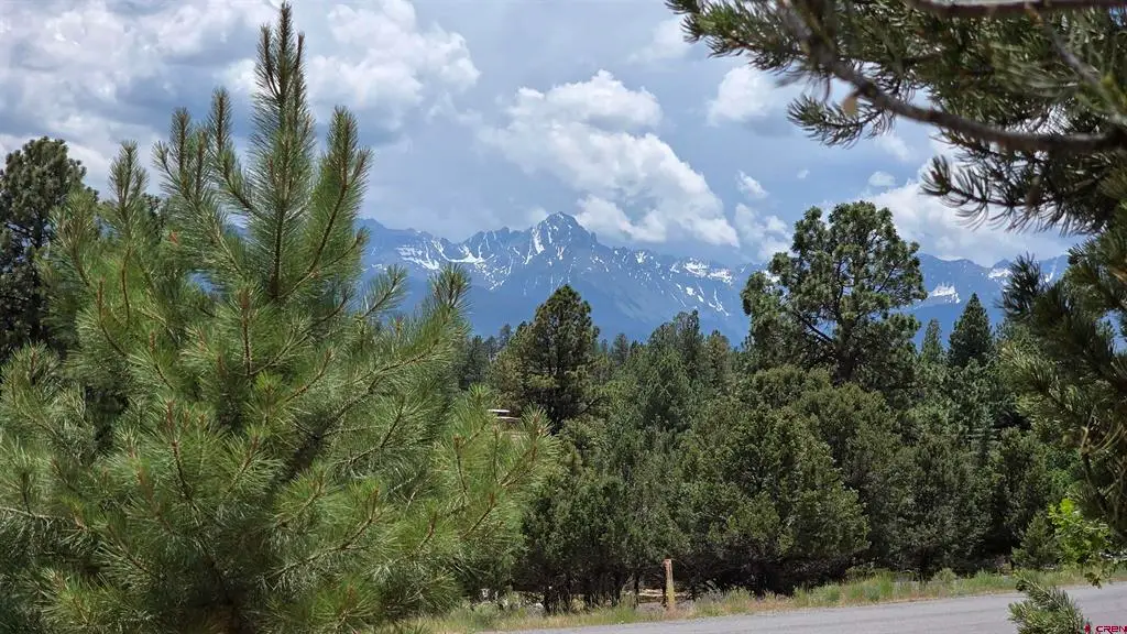 118 Pika Lane, Ridgway, CO 81432 - #1