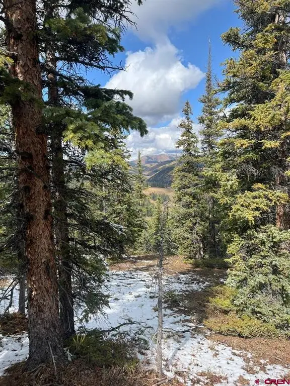 400 Forest Service Road 550 Road, Almont, CO 81210 - #3