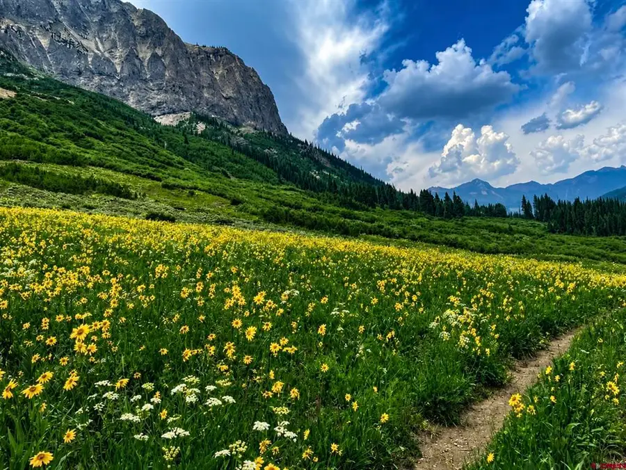 TBD Gothic, Crested Butte, CO 81224 - #2