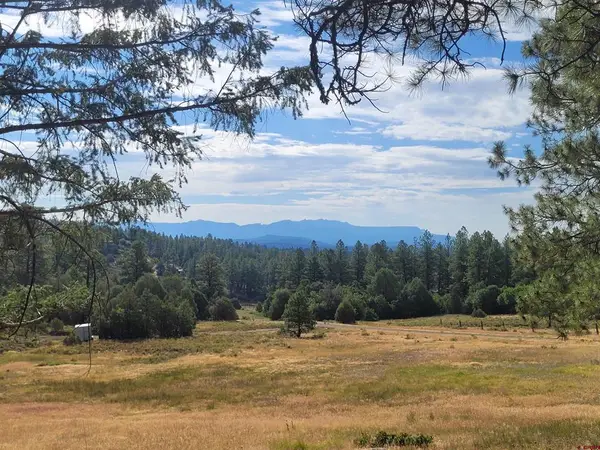 838 Quien Sabe Street, Pagosa Springs, CO 81147