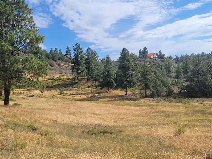 838 Quien Sabe Street, Pagosa Springs, CO 81147 - #2