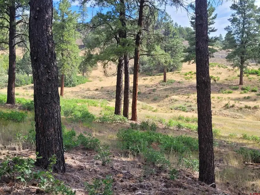 838 Quien Sabe Street, Pagosa Springs, CO 81147 - #3