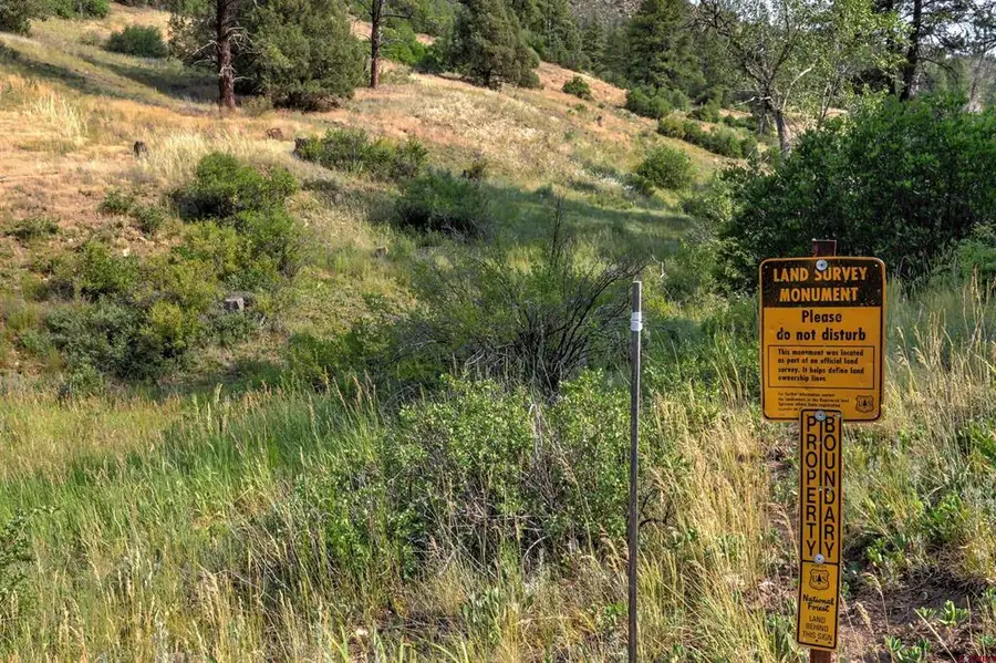 11100 Highway 84 Highway, Pagosa Springs, CO 81147 - #2