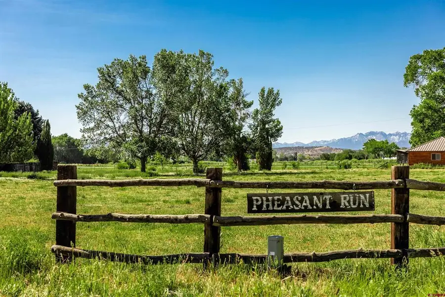 LOT 2 TBD Opossum, Montrose, CO 81403 - #3