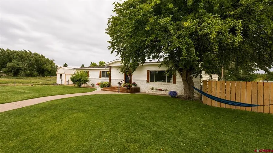 565 Main Street, Sanford, CO 81151 - #3