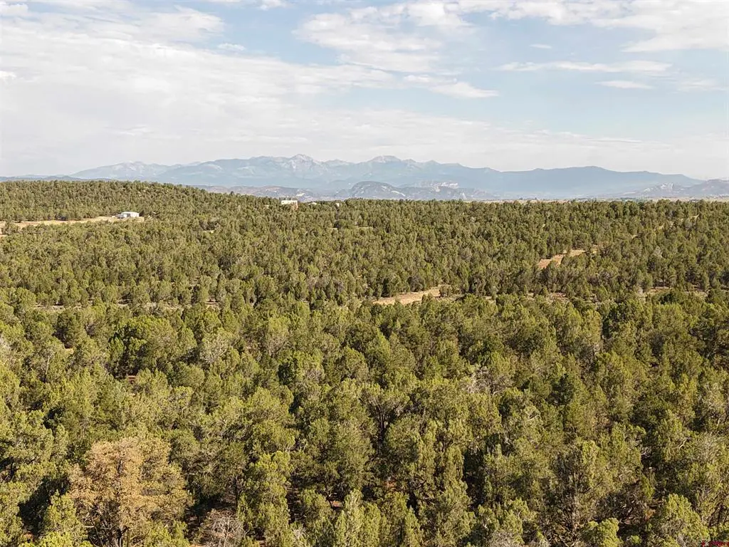 TBD Cr 310, Ignacio, CO 81137 - #1