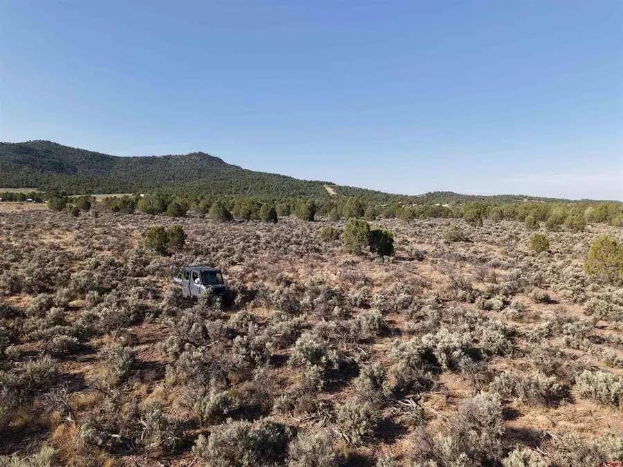 TBD Cr 310, Ignacio, CO 81137 - #2