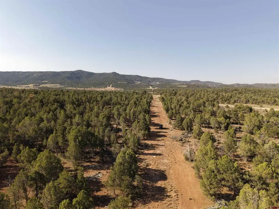 TBD Cr 310, Ignacio, CO 81137 - #3
