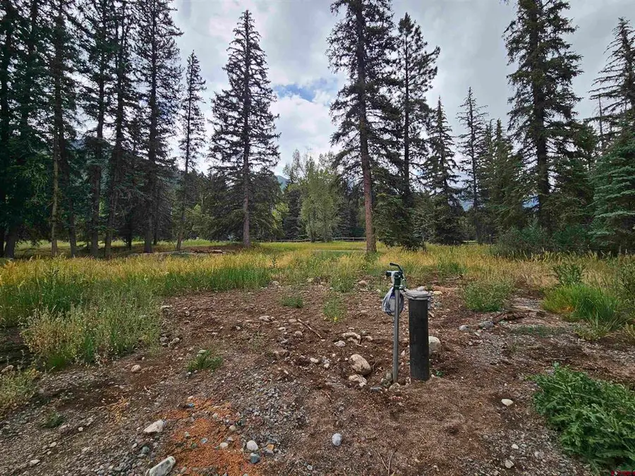 1229 W Vallecito Creek Road, Bayfield, CO 81122 - #2