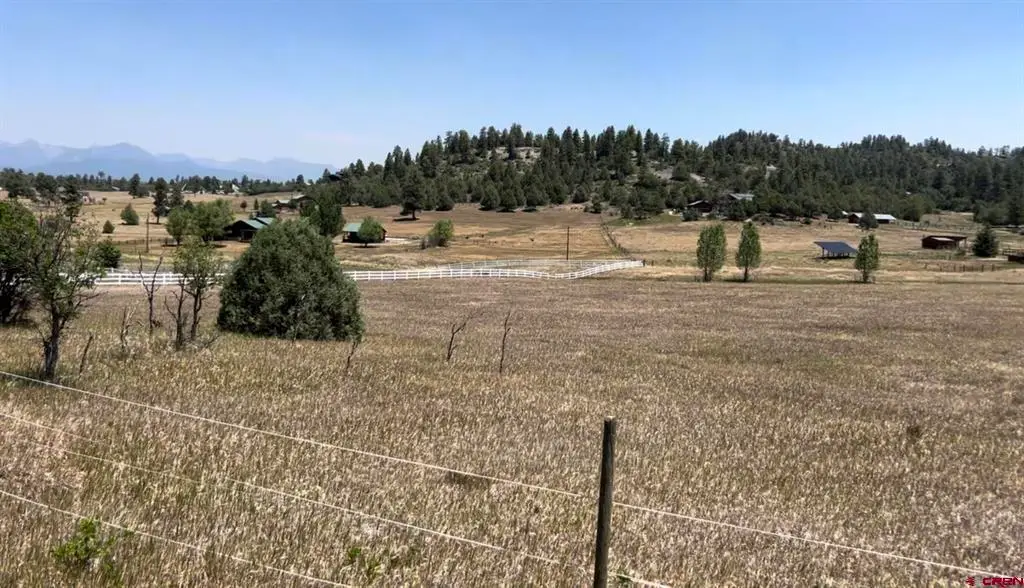 74 Springs Court, Pagosa Springs, CO 81147 - #1