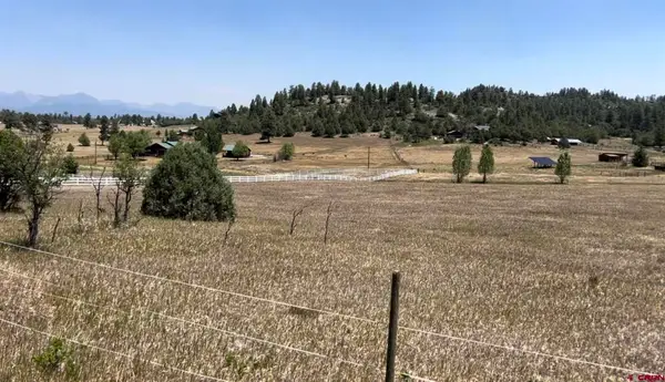 74 Springs Court, Pagosa Springs, CO 81147