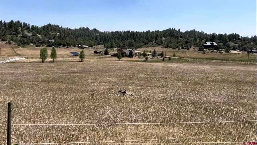 74 Springs Court, Pagosa Springs, CO 81147 - #3