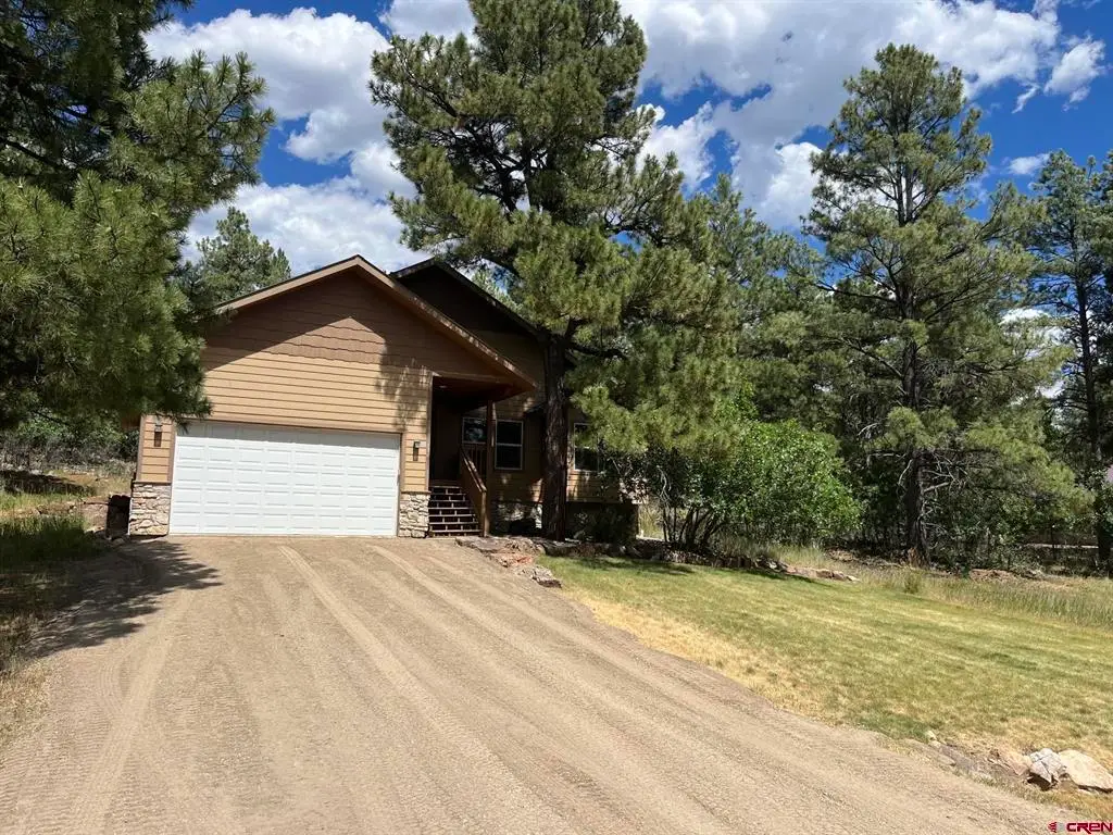 137 Wilderness Drive, Pagosa Springs, CO 81147 - #1