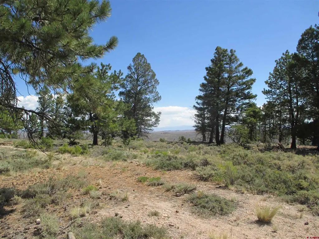 809 Schofield Trail, Powderhorn, CO 81243 - #1